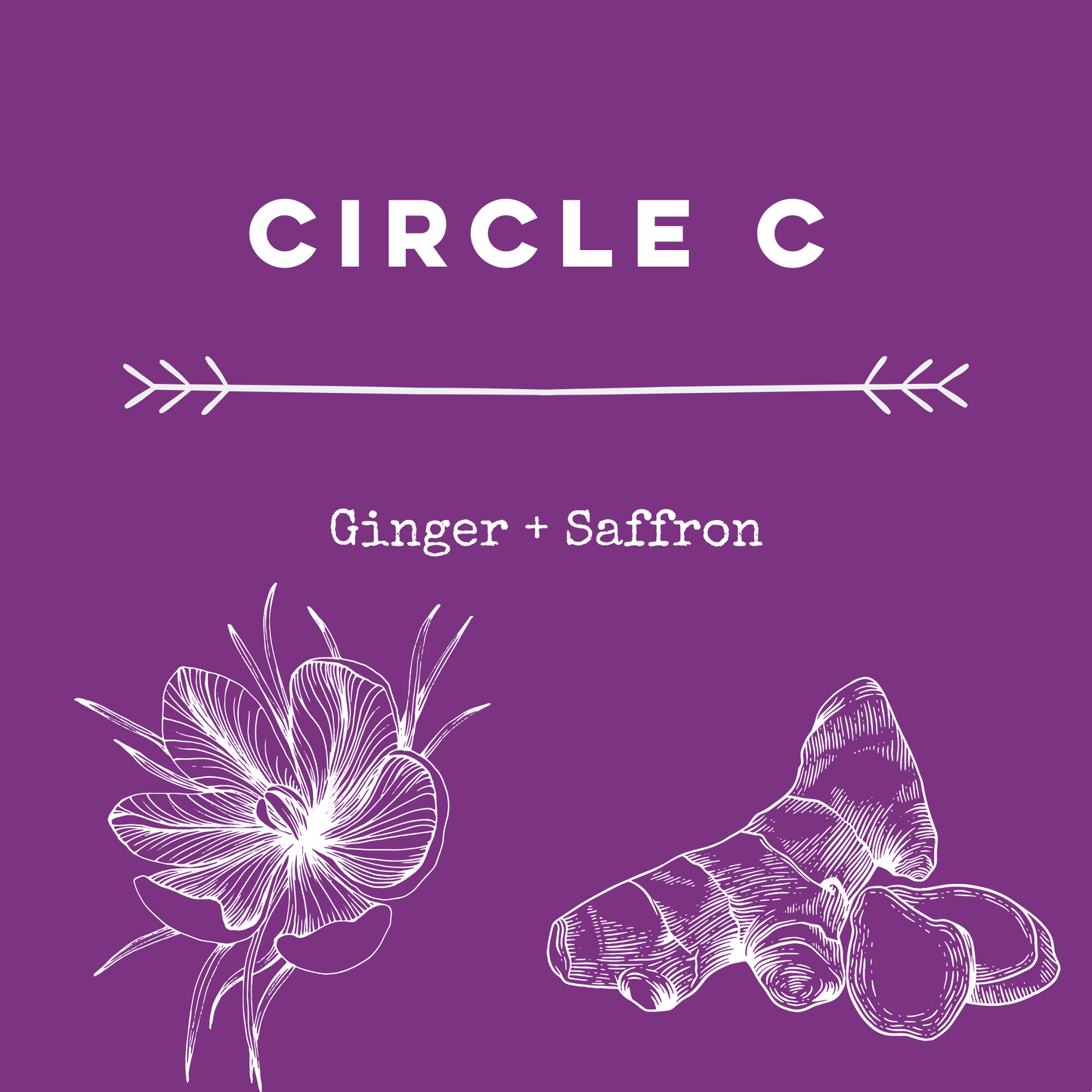 Circle C [Ginger + Saffron] Soy Candle / Wax Melt