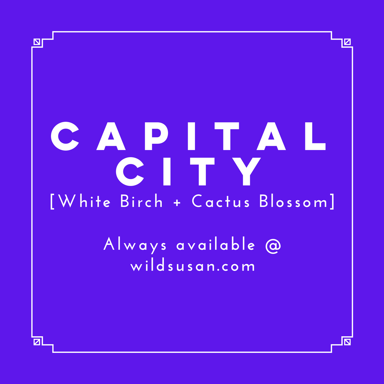 Capital City [White Birch + Cactus Blossom] Soy Candle/Wax Melt - The Wild Susan Co