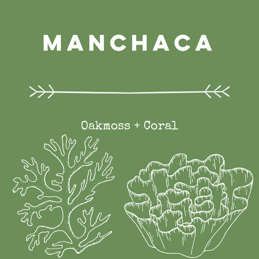 Manchaca [Oakmoss + Coral] Soy Candle / Wax Melt