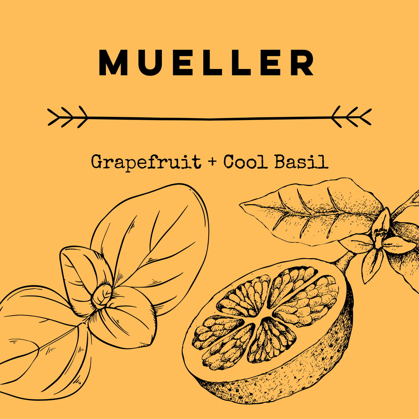 Mueller [Grapefruit + Cool Basil] Soy Candle/Wax Melt